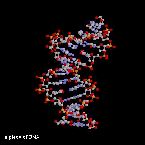 Molecular Biology